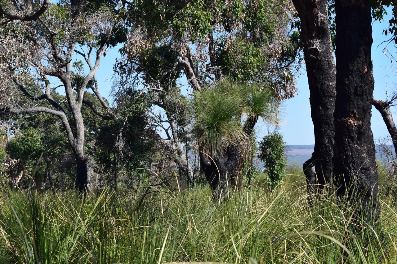 Bed and Breakfast Eagle Bay House Dunsborough Exterior foto