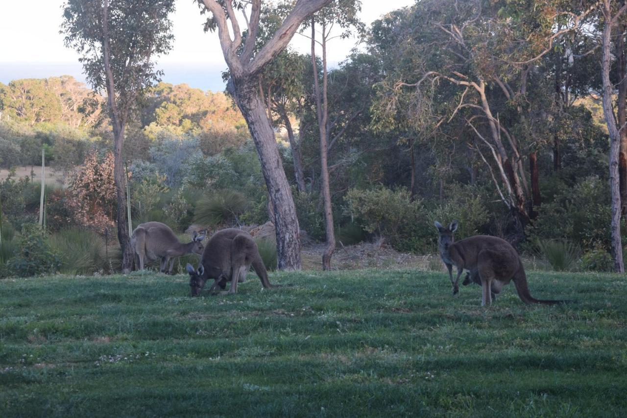 Bed and Breakfast Eagle Bay House Dunsborough Exterior foto